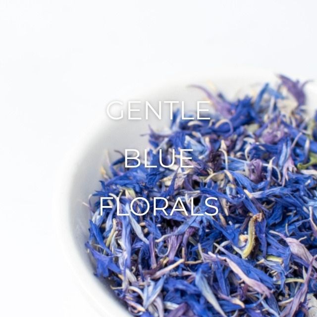Corn Flower (Blue)