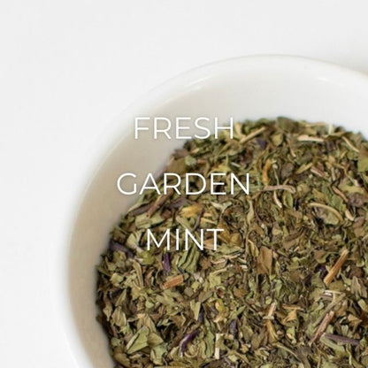 Mint (Common Mint)