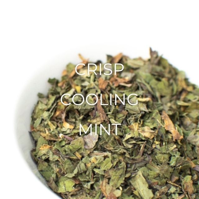 Mint (Peppermint)